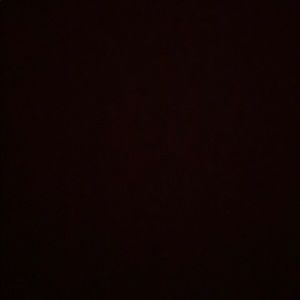 Meet your Posher, Sammy